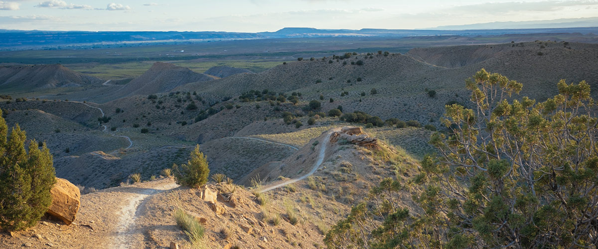 Fruita Singletrack 5-Day Advanced Mountain Bike Tour