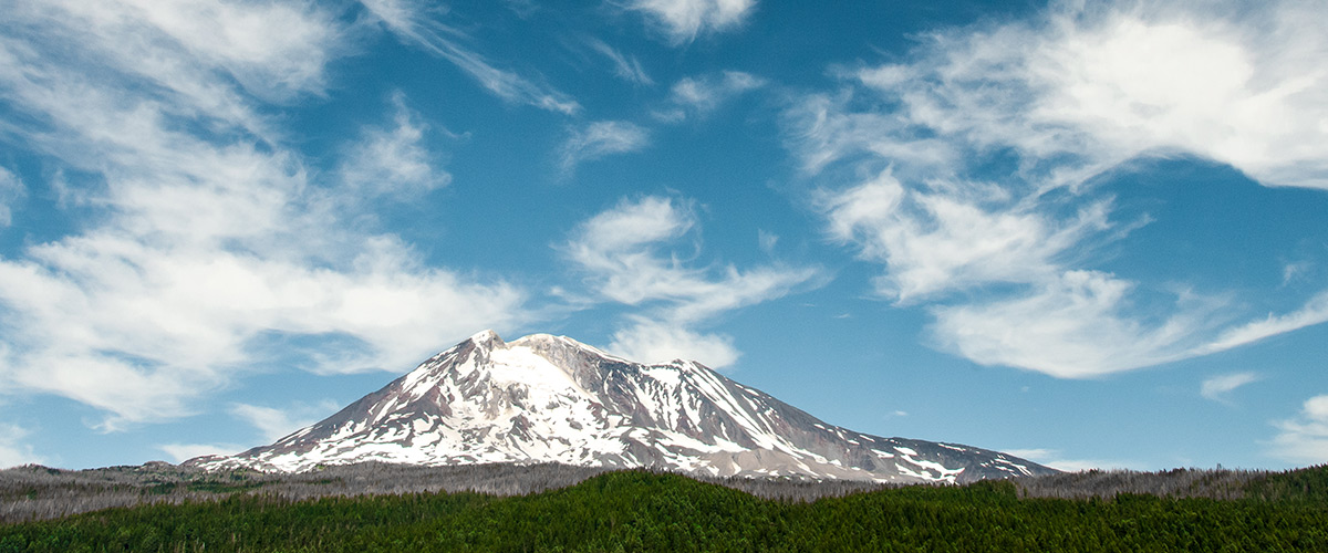 Mount Rainier National Park Road Tour