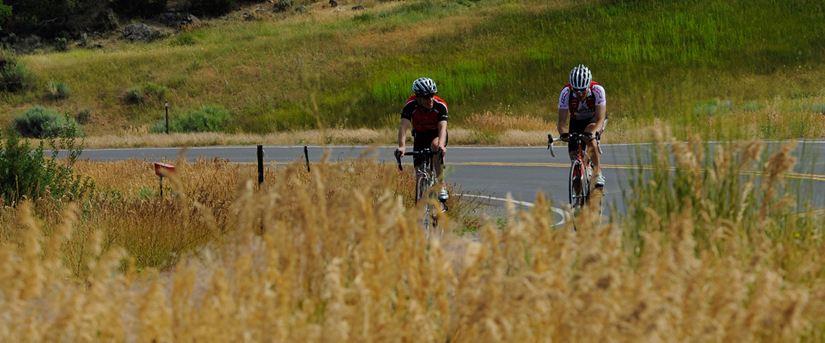 Rocky Mountain Loop Road Tour