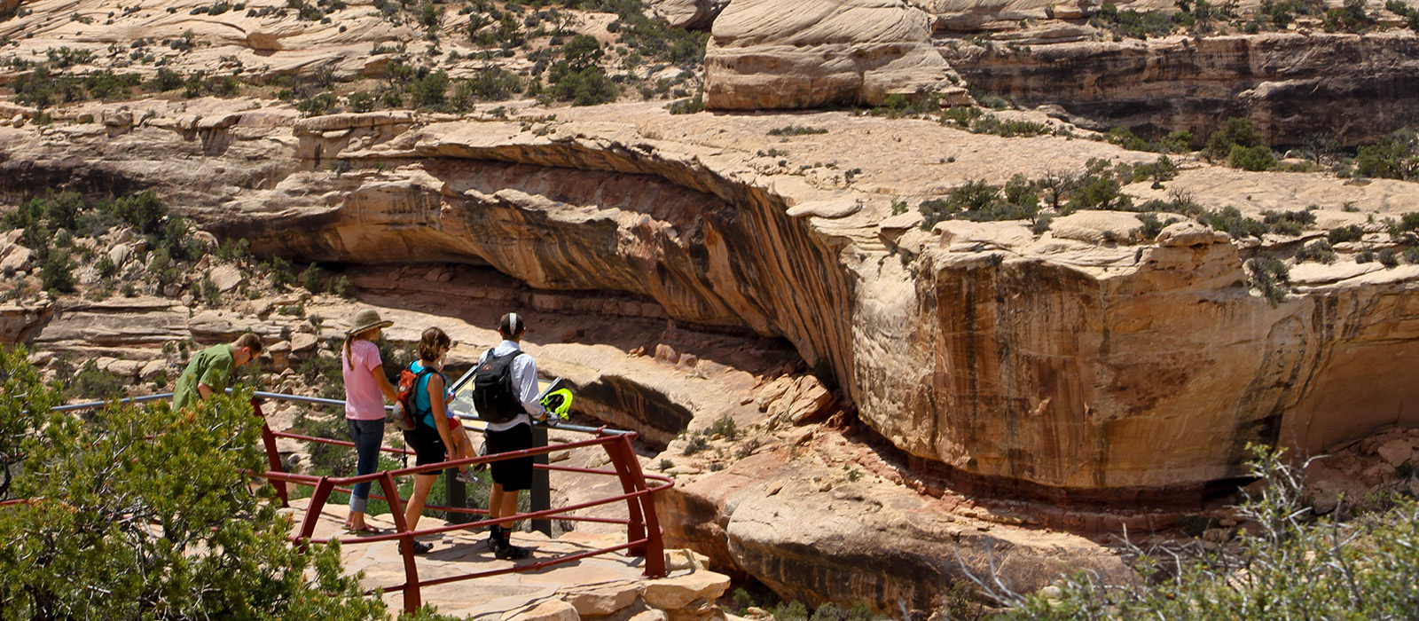 Bears Ears Adventure Trip