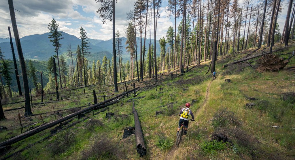 Best trails!