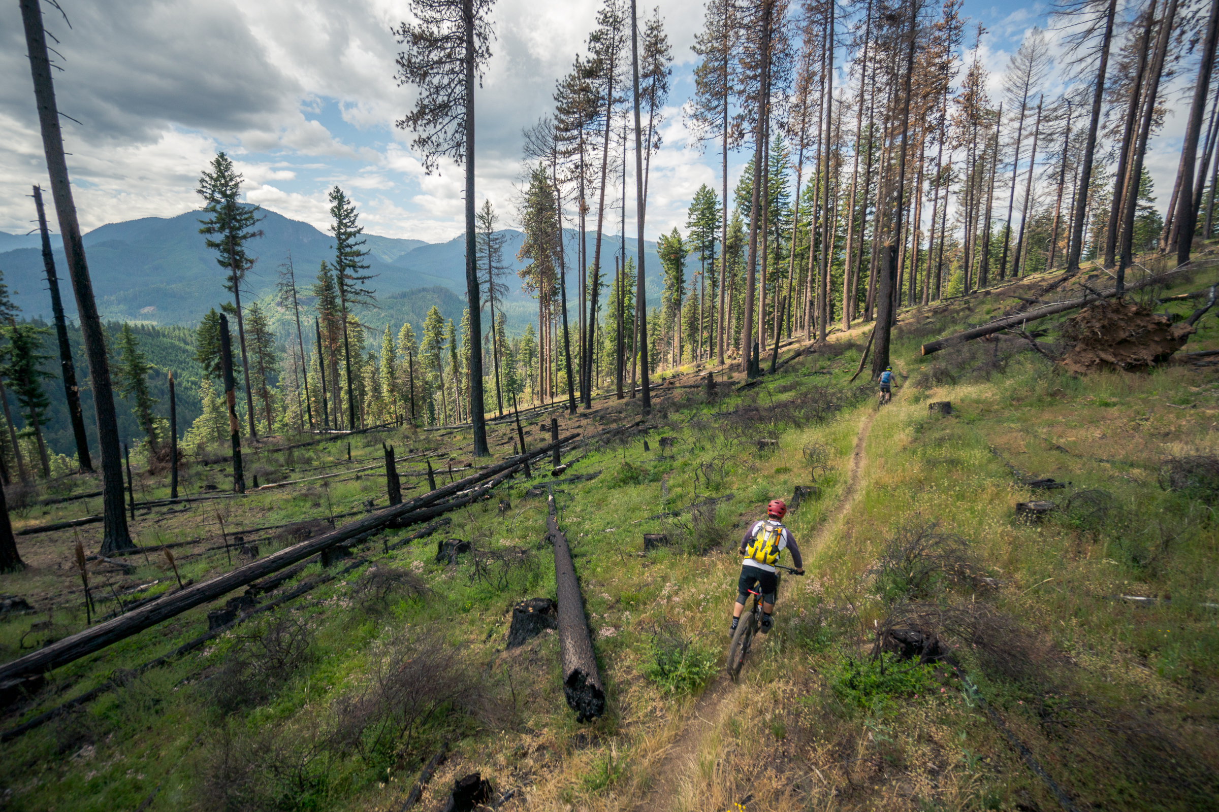 Oakridge 5-Day Advanced Singletrack Tour