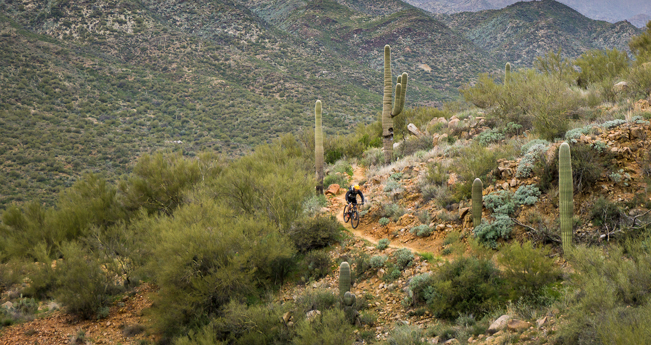 Black Canyon Trail 3-Day Singletrack Tour