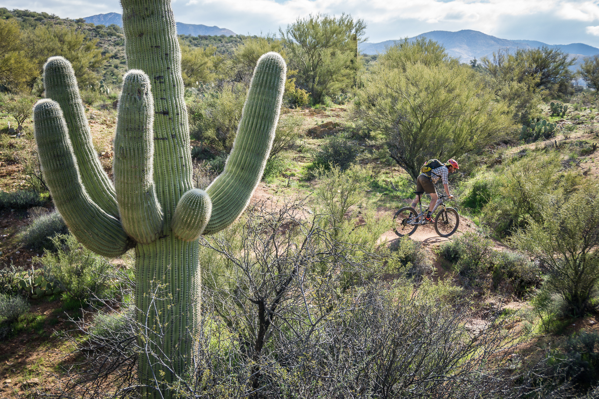 Black Canyon Trail 3-Day Singletrack Tour
