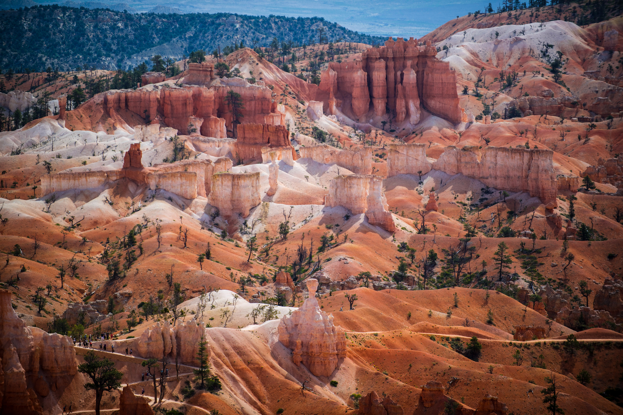 Bryce to Zion Family Trip