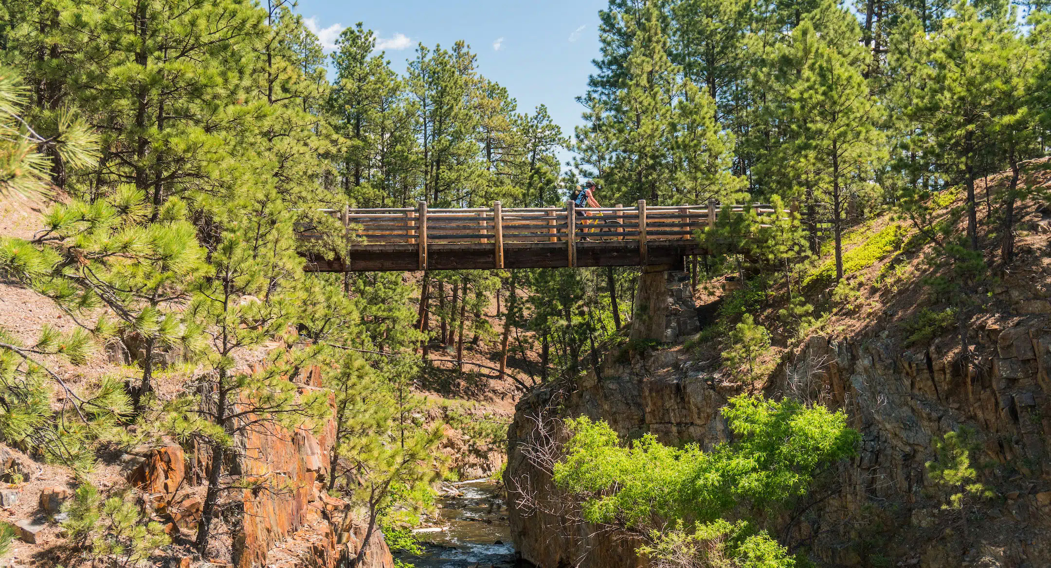 Mickelson Trail Through the Black Hills Family Trip