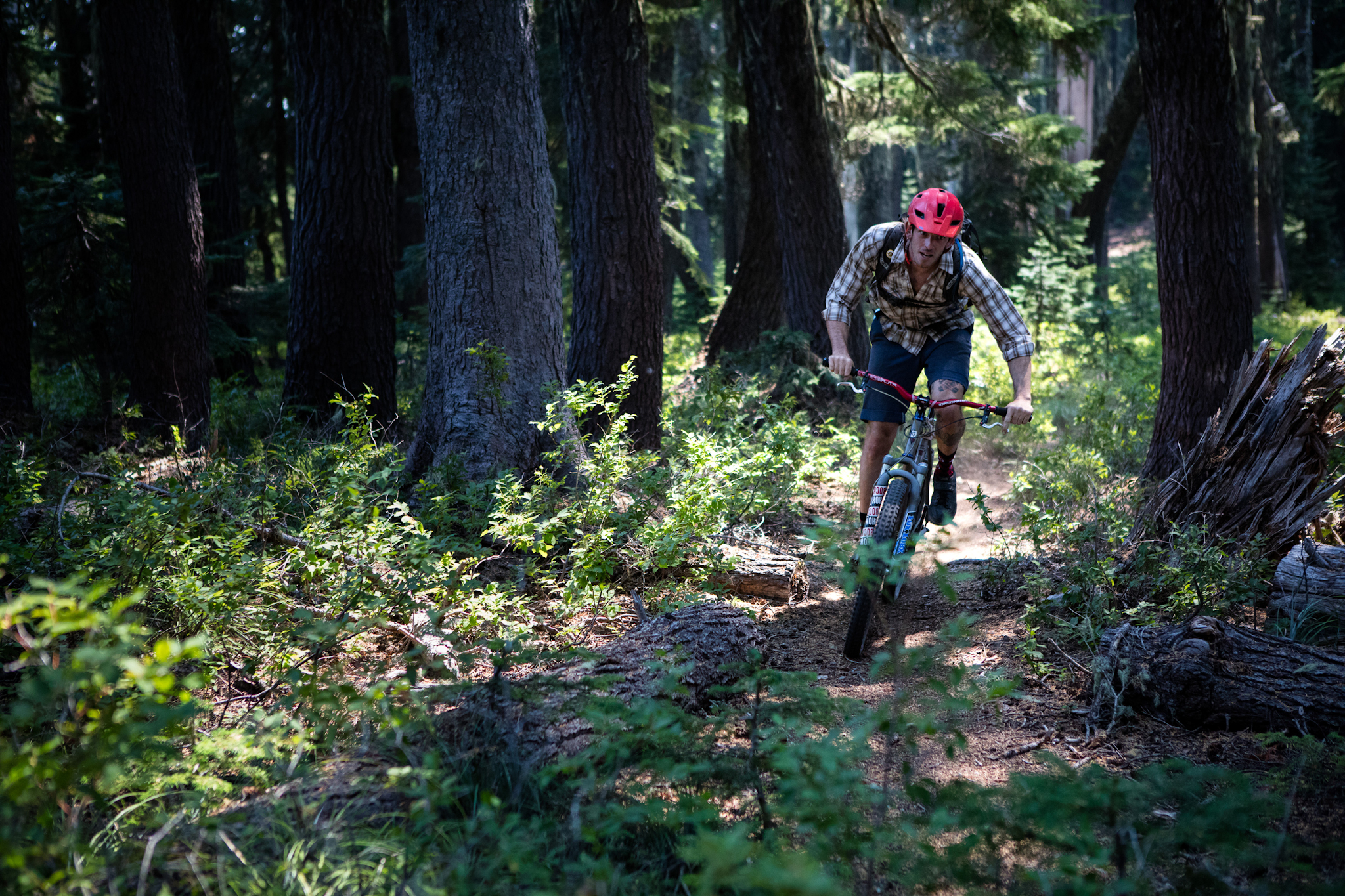 Mount Hood Singletrack