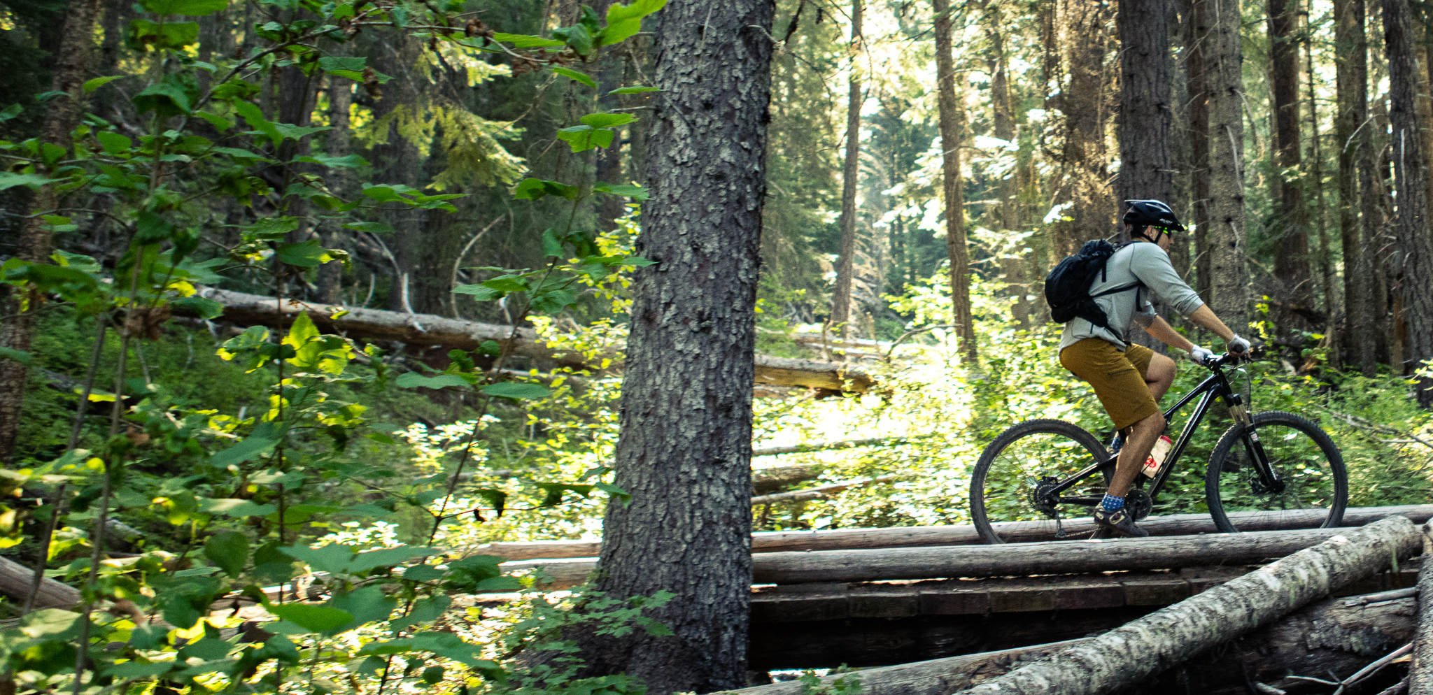 Mount Hood Singletrack