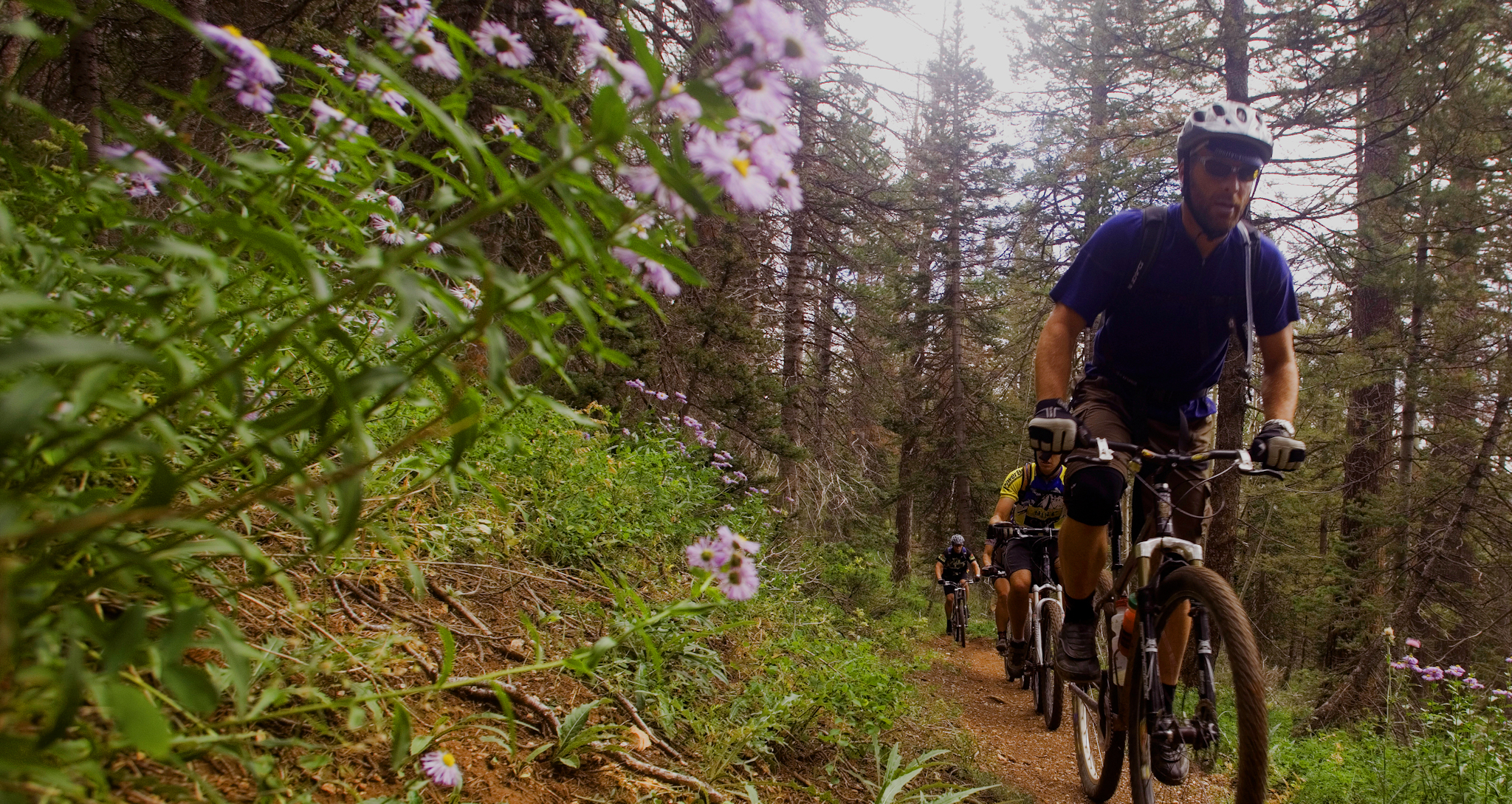 Brian Head Singletrack Bike Tour
