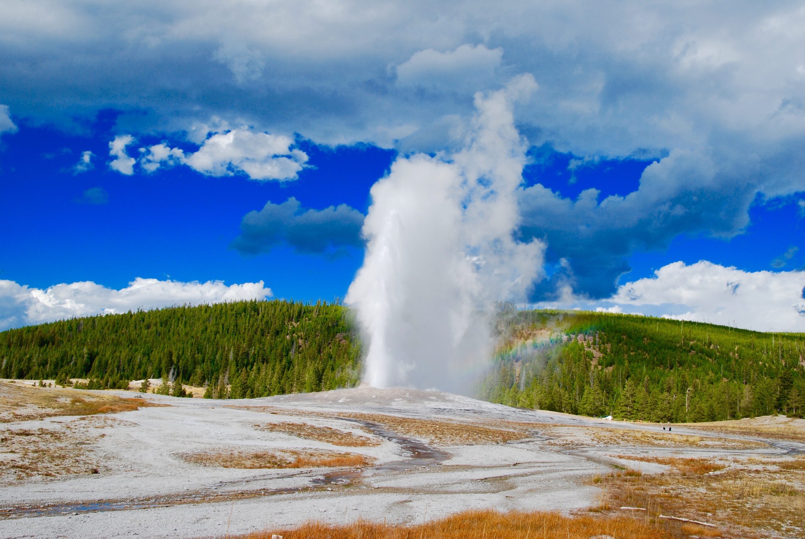 Yellowstone Adventure Trip